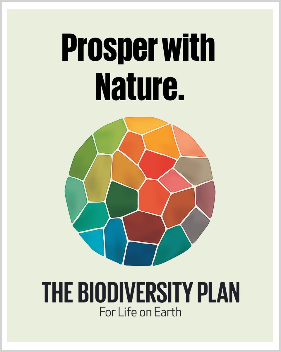 Humanity continues to do more harm than good to nature, pushing ecosystems at the brink of collapse. The #BiodiversityPlan is the world’s blueprint to halt & reverse nature loss. Here’s how: unep.org/resources/kunm…