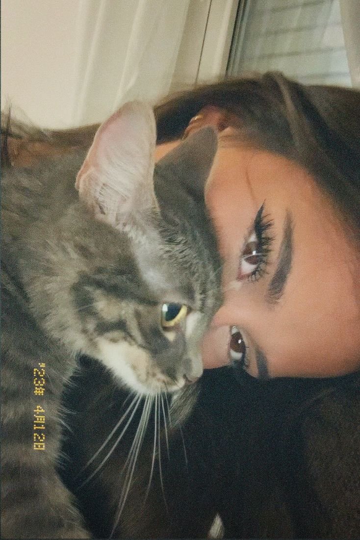 Meow content (@meow_cutts) on Twitter photo 