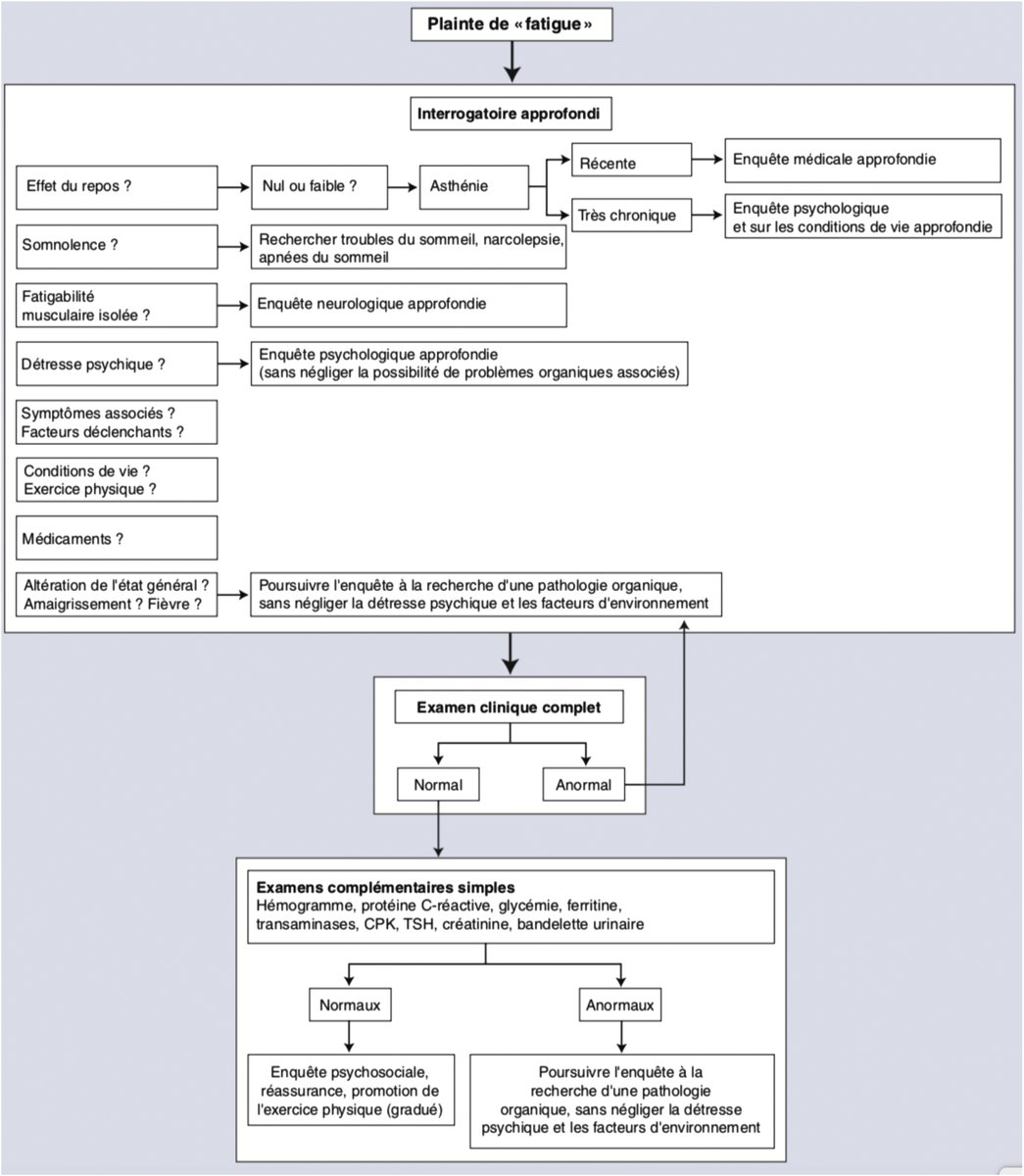 RevMedInterne's tweet photo. Mise au point
Fatigue chronique : quelles investigations ? Dans quels objectifs ?
https://t.co/7FF4xDvNYx https://t.co/BGrareeTn0
