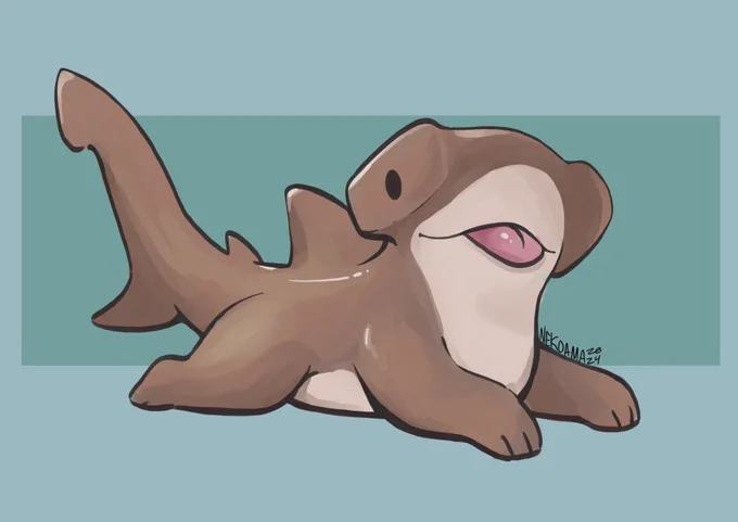 Sharkpup babies 
