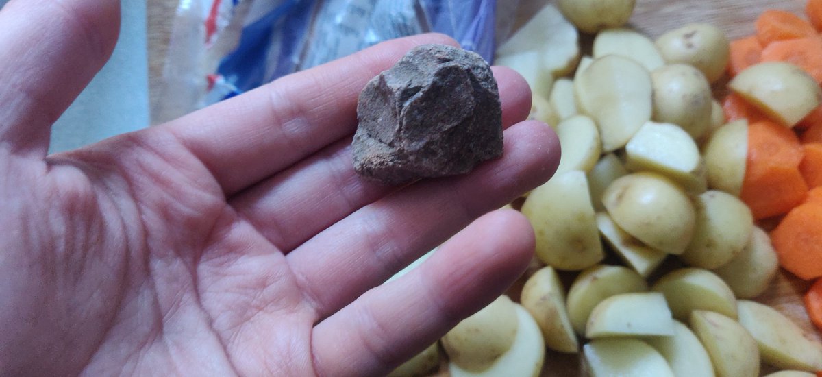 trishaferr's tweet photo. @sainsburys Just wondering why I found a whole rock in my bag of mini potatoes this morning...? 🪨😂 https://t.co/63f00nrxot