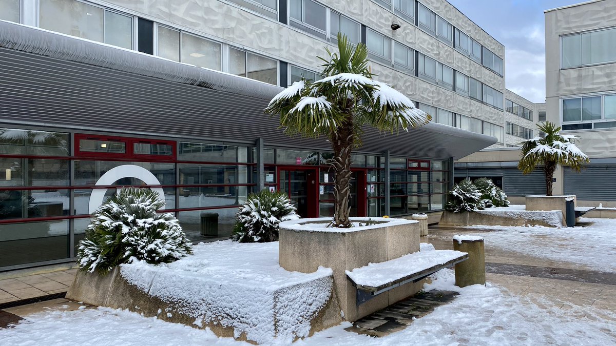 univ_lille's tweet image. ☃️ Le campus Pont-de-Bois sous la neige 🤗  #ULille