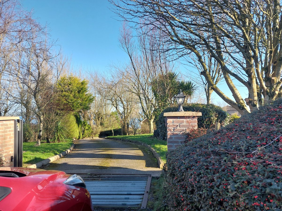 A nice crisp day at @ClancyGallery.
#contemporaryirishart #AnRinn #visitwaterford #gaeltachtnandeise #dungarvantourism #coistefailtenandeise #waterfordgreenway #dungarvanandwestwaterfordchamberofcommerce #seaswimmers