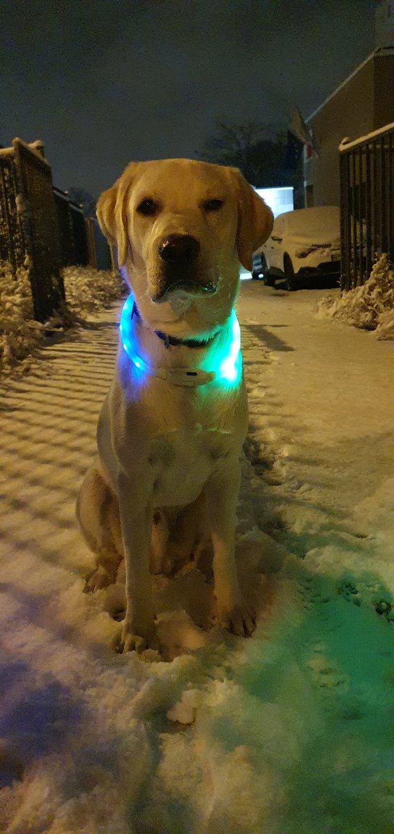 Laurence Mouret tweet media