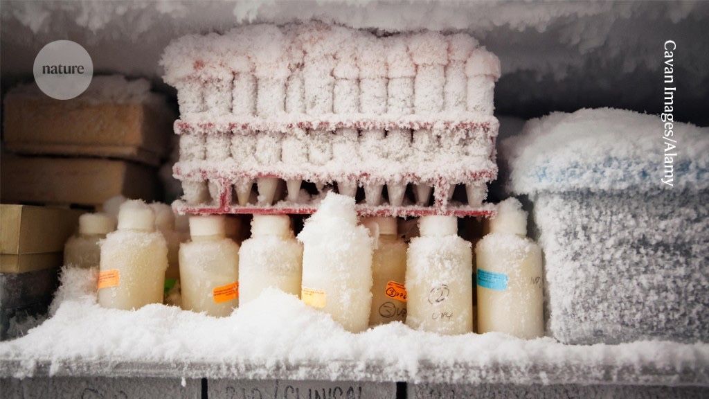 Organize your –80 °C freezer to save time and prevent frozen fingertips buff.ly/3vyRn80