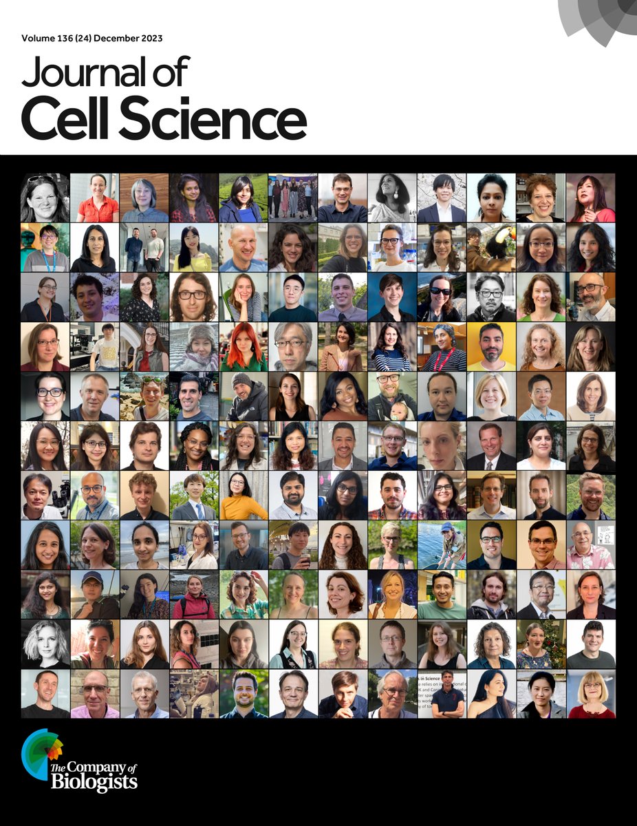 J_Cell_Sci's tweet photo. Our last issue of 2023 is a celebration of our community. On the cover are the scientists we interviewed in 2023, our Editors, FocalPlane SAB &amp; in-house team.
In their Editorial, @seemasainson &amp; @DrMichaelWay tell us why JCS is more than just a journal:
https://t.co/AYlR0ftXBp https://t.co/JlHKQ7KlBK