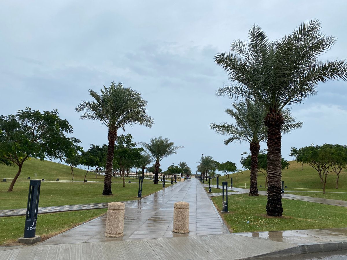 :
#مجموعة_الخواطر #كلام_من_القلب 
:
~ في تلك الأجواء الجميلة عسى ما بيننا إنسان محروم من رحمتك يا الله …
الغيوم تمشي بكيف القدر والجو غيم ممتلئ بالشوق
يتساقط المطر فيغسل الذنوب ويطهر القلوب
يسعد مساكم الجو جميل والأمطار  وقطراتها  ….🌧️🌧️
:
✨✨✨