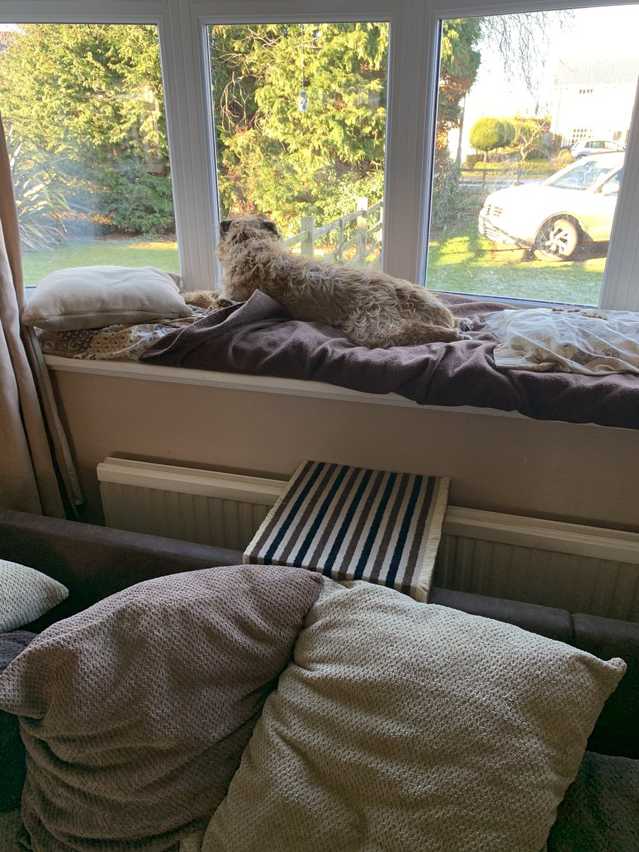 Lord Hamish HRH ⚜️🐶 tweet media
