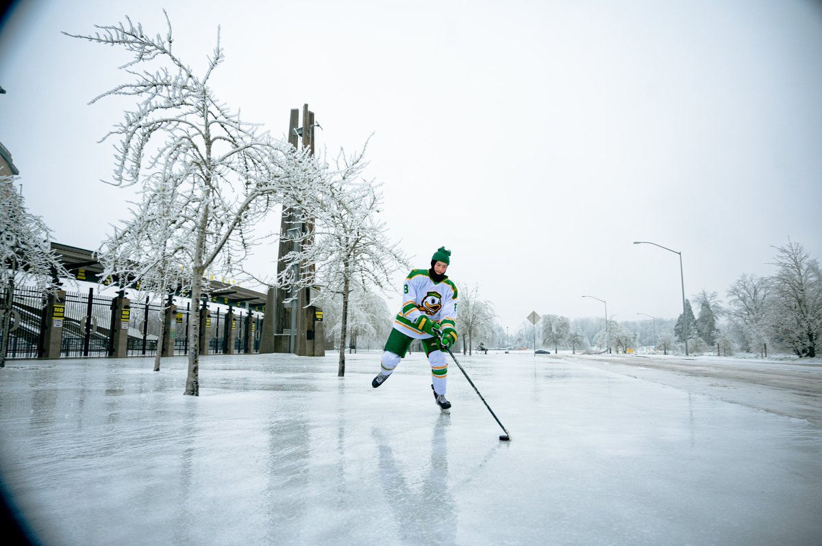 Oregon Ducks Hockey tweet media