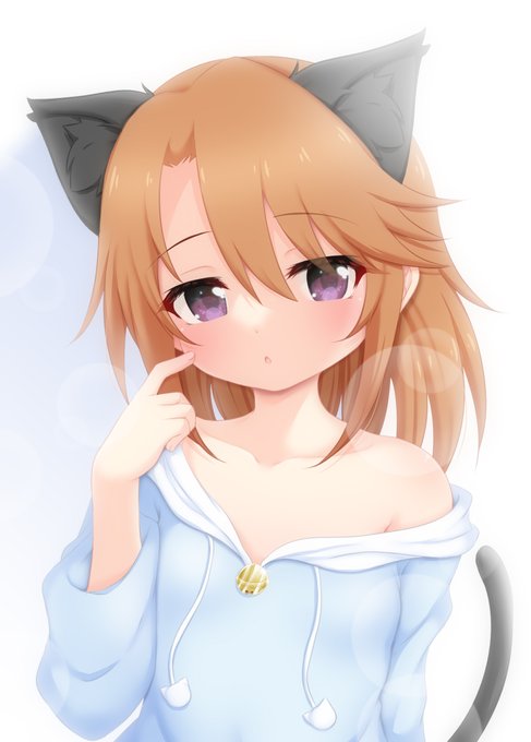 ❄猫晴「……………にゃー…」🐈
#結城晴 