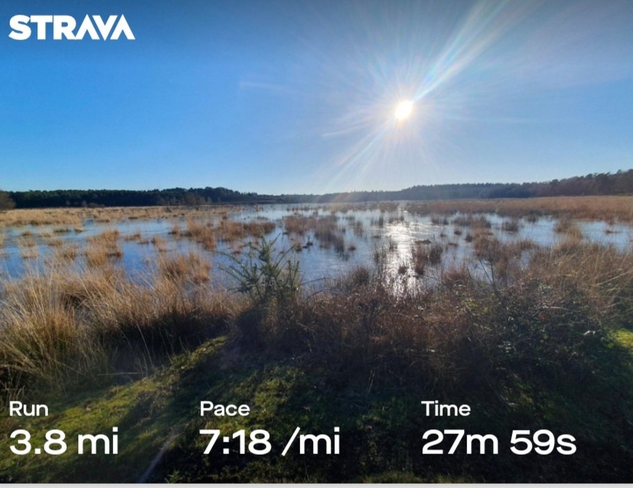 ZhepzyMudRunner's tweet image. Working Lunch! It&apos;s absolutely perishing but beautiful in the sun!
#TWC #TwittaWinterChallenge #SonicWinterSprinters