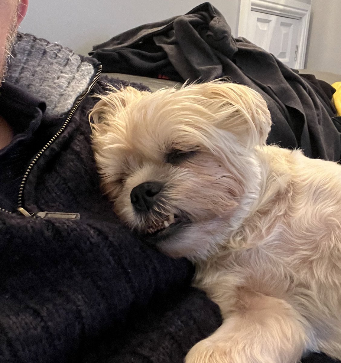 rgrodgers's tweet photo. Current status whilst watching former employees of the post office &amp; current members of the Alzheimer’s Society give evidence (or not as the case maybe!) 🤨

#NotMeGuv
#PostOfficeInquiry
#PostOfficeScandal #MrBatesVsThePostOffice https://t.co/xPDY4QhI50