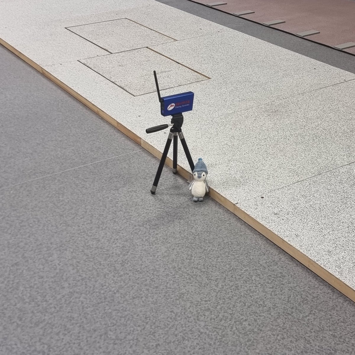 We had a visitor to our Human Performance Laboratory today🐧. Why should we walk like him in the snow and ice? Tune in to the STV evening news tonight to find out! @gcureach <a href="/GCUResearch/">GCU Research</a> <a href="/DolanSharron/">Professor Sharron Dolan</a> <a href="/GCUSHLS/">Glasgow Caledonian University SHLS</a>