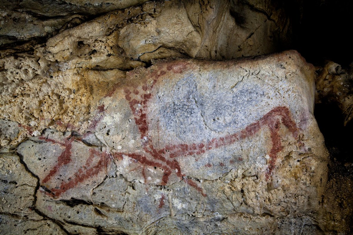 CuevasCant's tweet photo. ✍ ¿Sabías que #Covalanas es una de las #cuevas con representaciones de #arterupestre más impresionantes?🧐
🦌 Contiene figuras rojas de ciervos, caballos o uros creadas en torno a los 20.000 años a.C. 🙌
👉 Recordad que las entradas se adquieren en la taquilla de #Cullalvera🤓 https://t.co/XzmG0OqpW7