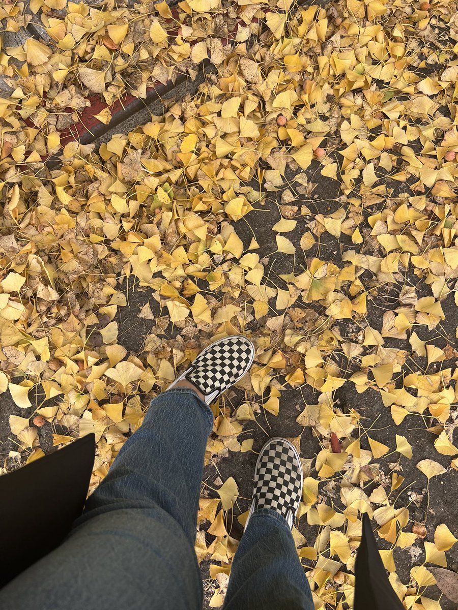 claire vo 🖤 tweet media