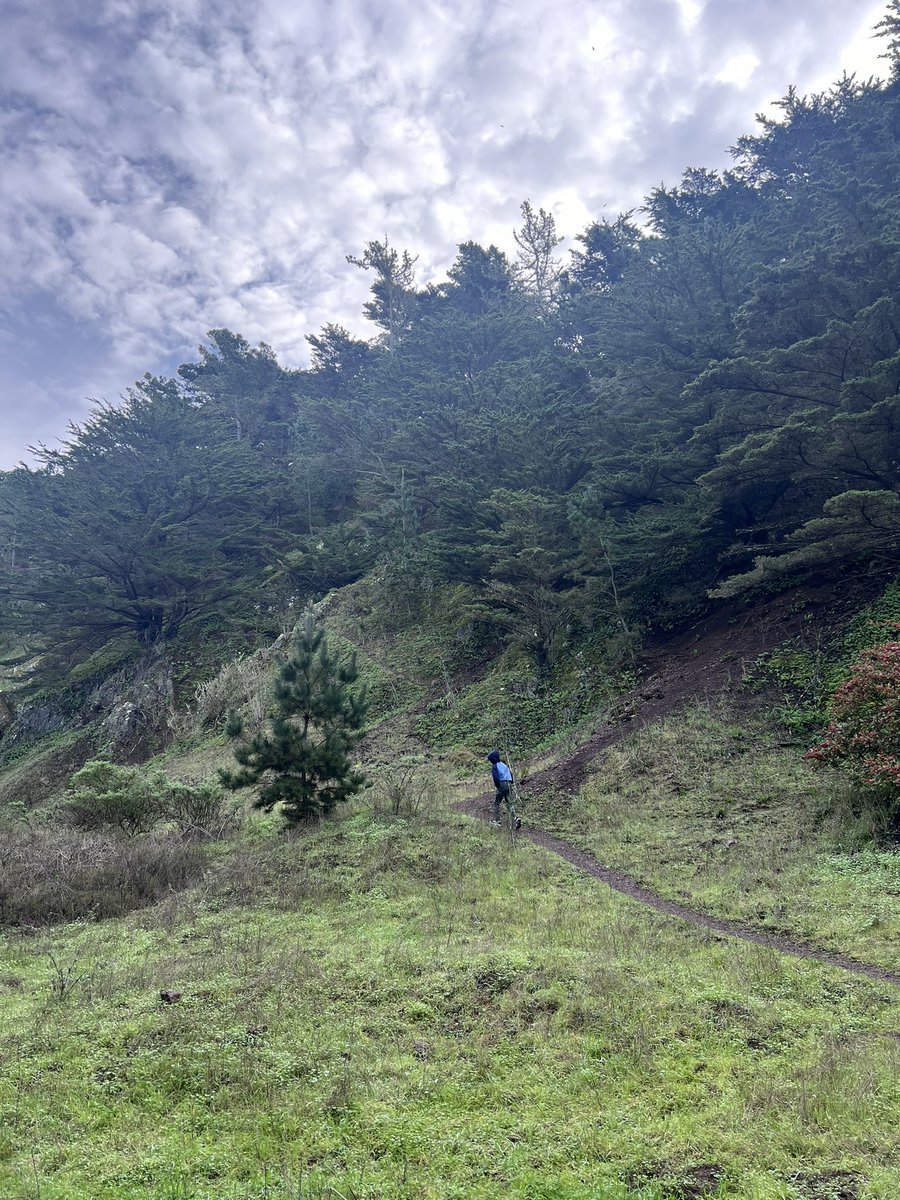 claire vo 🖤 tweet media