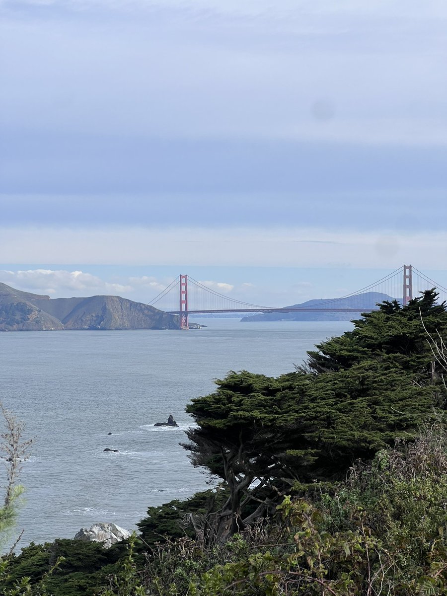 claire vo 🖤 tweet media