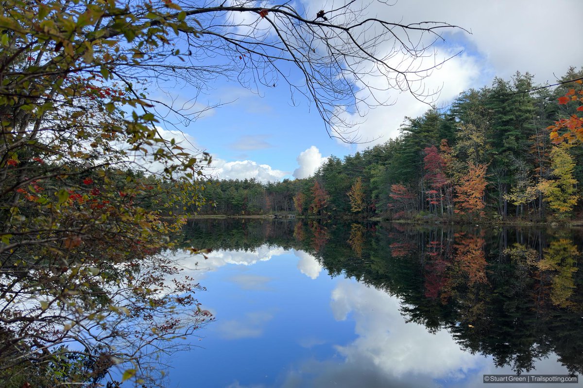 Trailspotting's tweet photo. hiking • railtrails • reviews • maps

Perley Brook Reservoir, Gardner MA
4⭐ 2.3 mile loop • Easy difficulty
https://t.co/M8x39q63fi

#Hiking #Massachusetts #NewEngland #GardnerMA #Outdoors #Nature https://t.co/D22uoUje0k