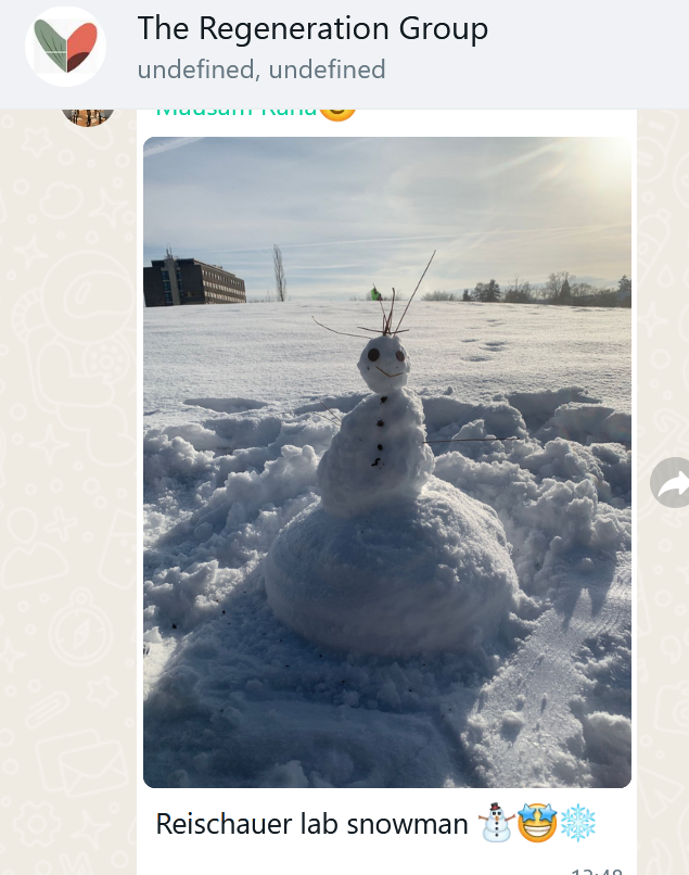 I just got informed that we have a new lab member!