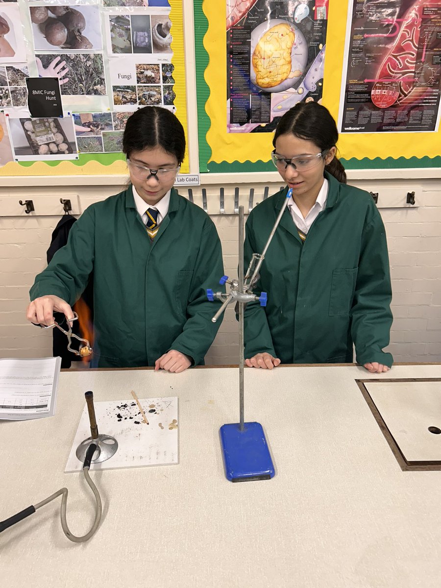 ElthamCSTEM's tweet photo. Last week in Biology Year 9 students investigated how much energy was contained in different foods by burning them under a boiling tube of water and measuring the temperature change of the water… https://t.co/PiS4bZToLy