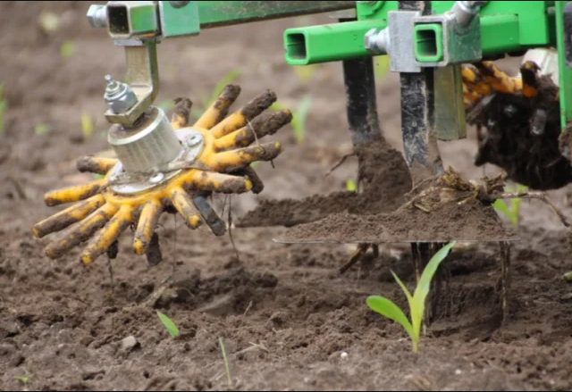 Agrotecnio's tweet image. 🙌Agrotecnio has joined the #AgrifoodTEF project as a member of the Spanish node! 

It's the only chosen project by the Digital Europe Programme of the @EU_Commission, with an investment of M€60 for the next 4 years spread over 9 countries.

More info👉tinyurl.com/53rcjdc8