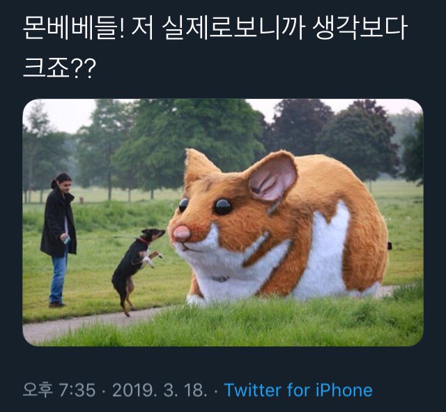내 갤러리 광기