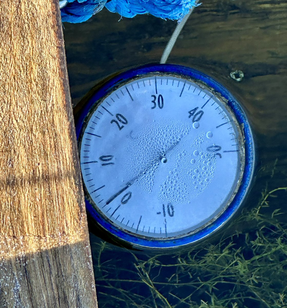 Kath preece tweet media