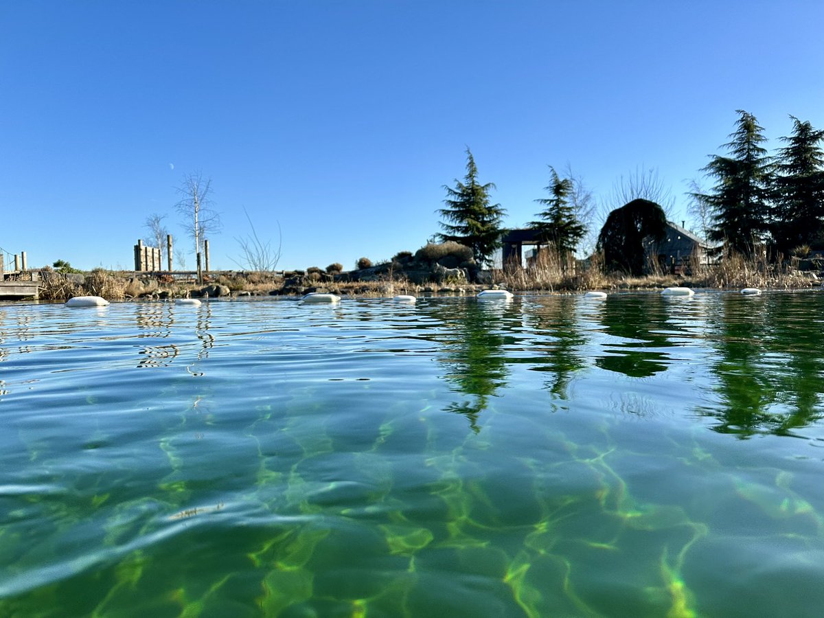 Kath preece tweet media