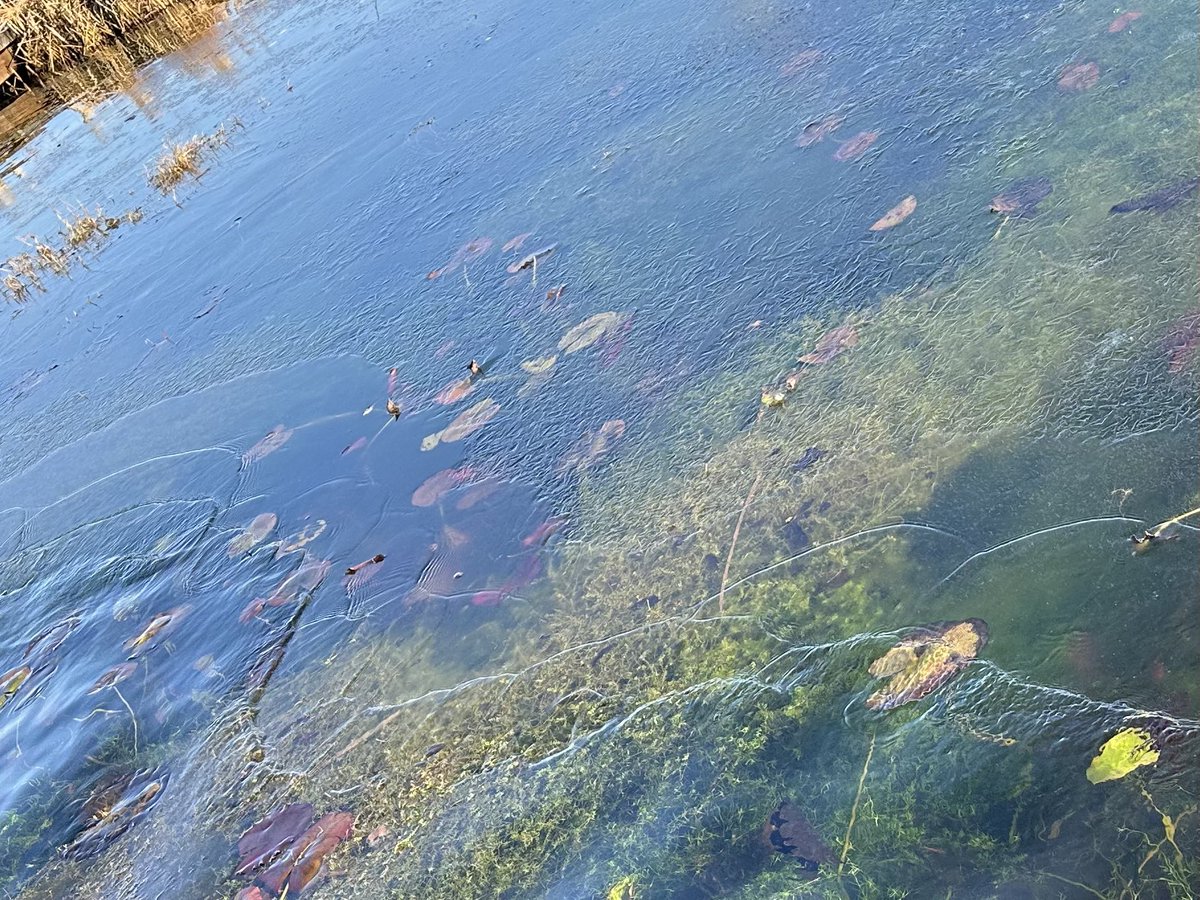 Kath preece tweet media