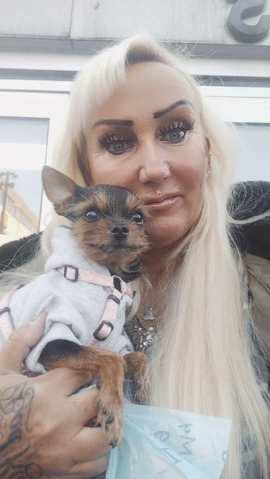 Mein Baby Bambi 🐶 #mylove #mydog #loveyou #dog #ruskytoyterrier #milf https://t.co/wBEUjK3uWB<a href="/tag/mylove"class="tags">#mylove</a><a href="/tag/mydog"class="tags">#mydog</a><a href="/tag/loveyou"class="tags">#loveyou</a><a href="/tag/dog"class="tags">#dog</a><a href="/tag/milf"class="tags"><span>#milf</span></a><a href="/tag/ruskytoyterrier"class="tags"><span>#ruskytoyterrier</span></a>