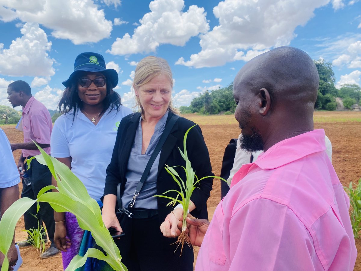 OxfaminSAF's tweet photo. The adoption of climate smart agriculture techniques is essential in increasing agriculture productivity for smallholder farmers as evidenced by Buhera district communities in Zimbabwe. https://t.co/SMPs6Xp9sZ