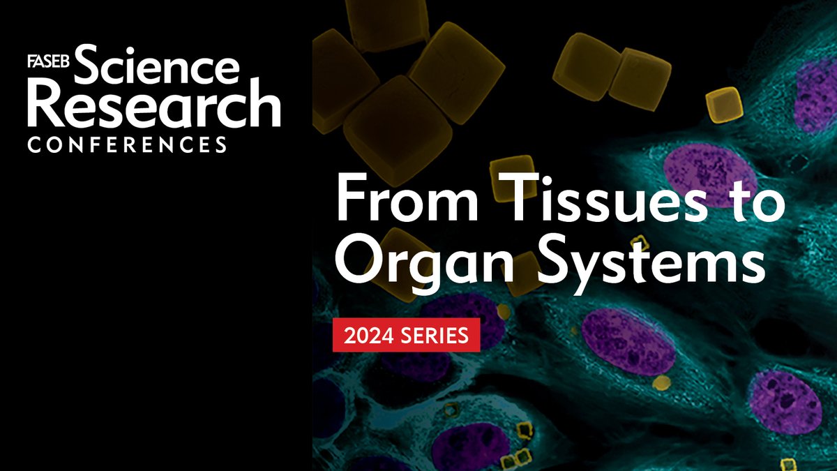 FASEBorg's tweet image. Does your research encompass tissues and organ systems? Check out the 2024 FASEB SRCs and find one that&apos;s right for you. From post-docs, to grad students, to experienced researchers, we have something for all levels. Reserve your space today: bit.ly/3RXQCwV
