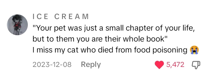eldeasan's tweet photo. Yaa Allah limpahkan rezeki yg berkah untuk owner yg menyayangi dan merewat sepenuh hati peliharaannya. sehatkan dia dan peliharaannya, beri kebahagiaan selalu untuk mereka Aamiin❤️

I miss my cat Cimol who died at Jan, 9 2024 https://t.co/1Sh7iHg34B