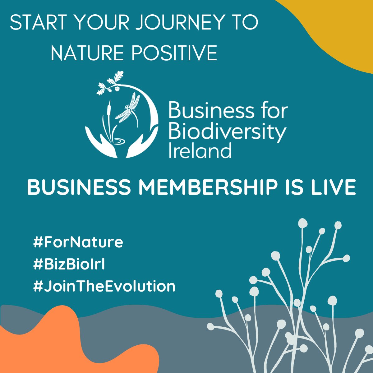 1/2 We are delighted to announce our membership with Business for Biodiversity Ireland as we embrace the journey towards #NaturePositive. #BizBioCoP #NatureIsEveryonesBusiness #ForNature #JoinTheEvolution #BizBioIrl