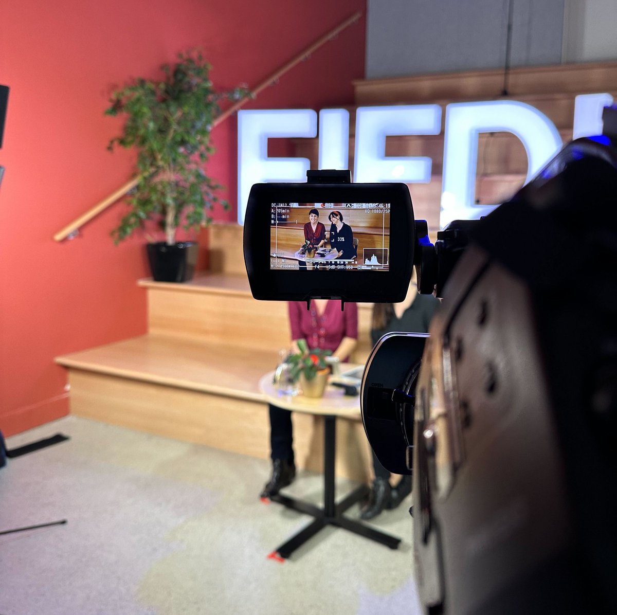 It has started! If you are following the #FIFDH Impact Days Webinar on Zoom, ask your questions here. Use the hashtag #FIFDHImpactDays or reply to this post to ask anything related to the discussion.