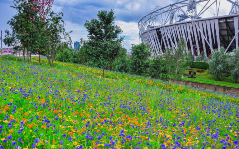 📢 We're launching a new MSc with @UCLGlobalHealth @uclbiosciences @UCLEast & @ProfKateJones, tackling links between climate change and health. It's a new type of postgrad course taught by a truly cross-disciplinary team of scientists & industry partners: ucl.ac.uk/population-hea…