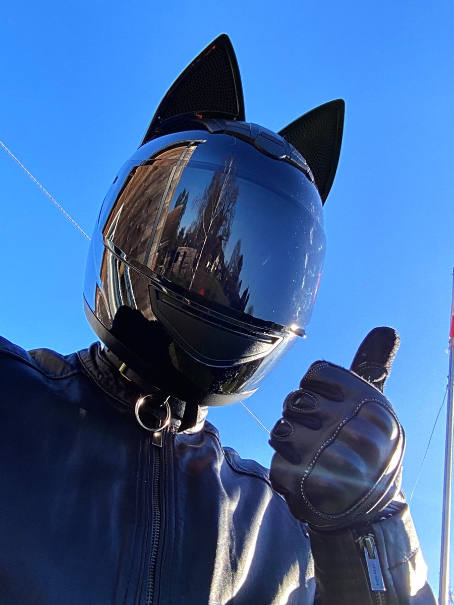 Finally some nice weather! Time to go out adventuring! 🥰 #furryfandom