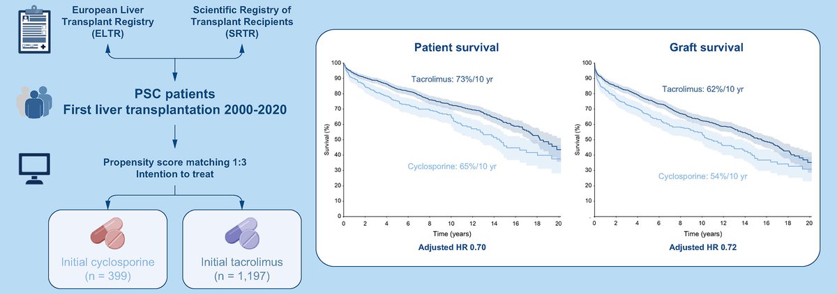 JHepatology's tweet image. What is the best immunosuppressive regimen for #primarysclerosingcholangitis patients after #livertransplantation?
Find out more here👉journal-of-hepatology.eu/article/S0168-…
@Dr_ABERGFredrik
#LiverTwitter