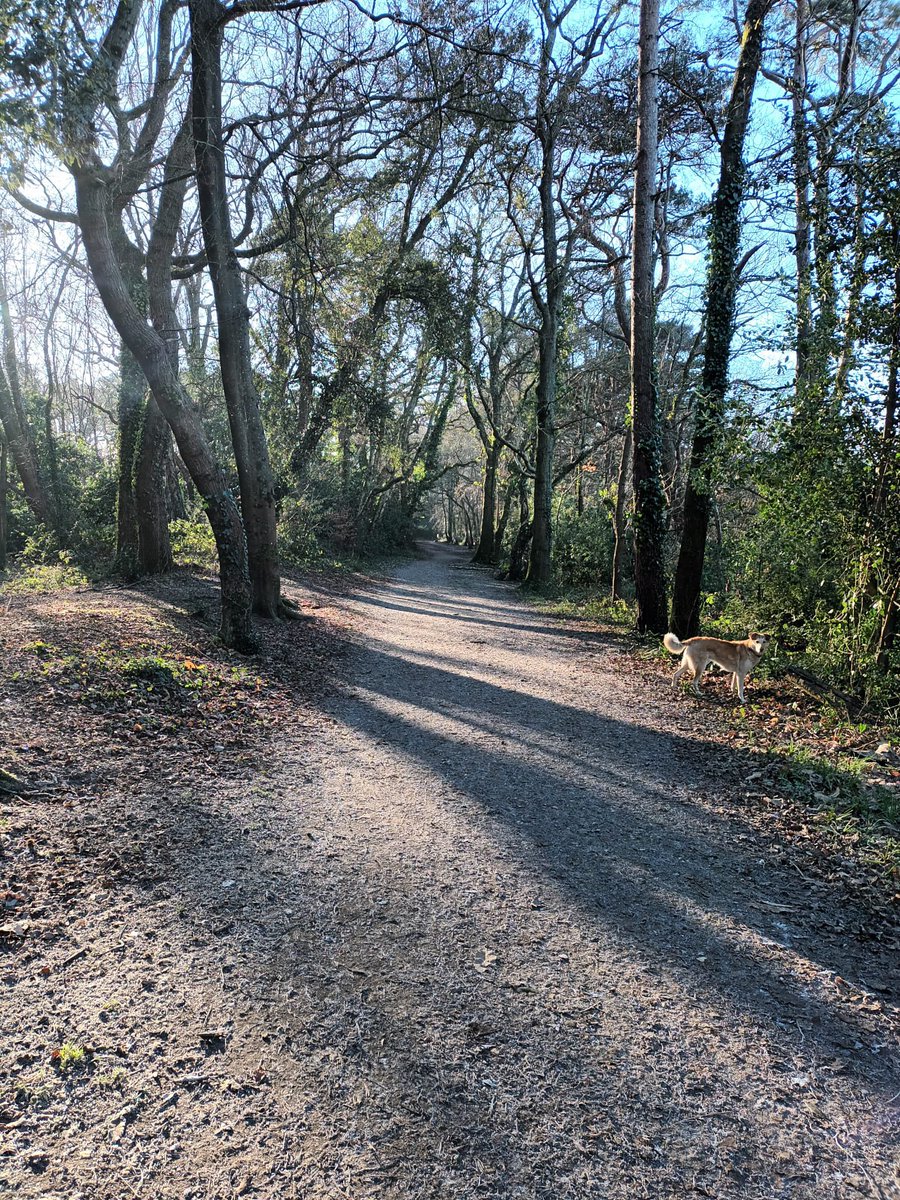 Beautiful crisp morning for a walk!