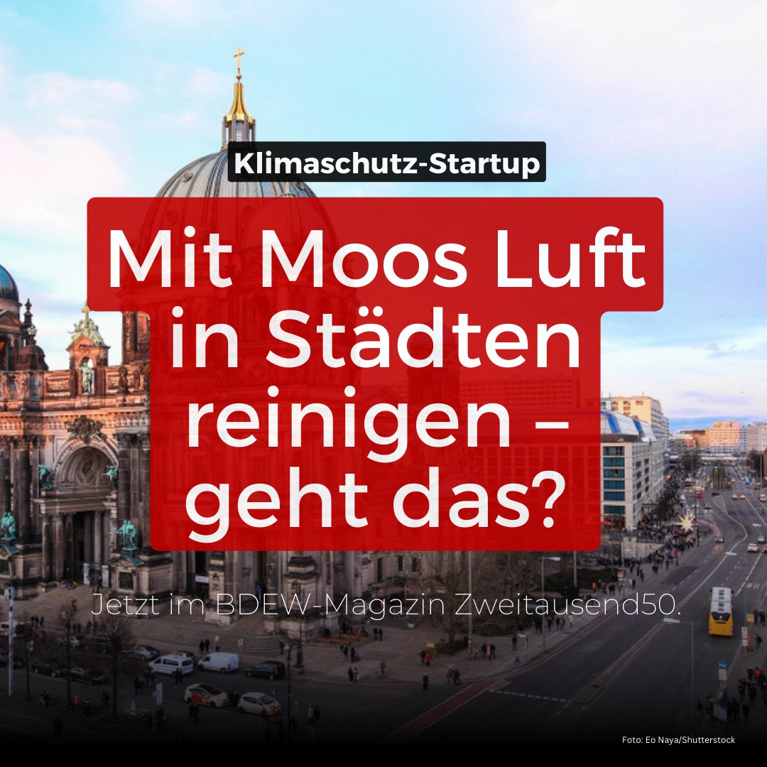 BDEW (@bdew_ev) on Twitter photo Auf biologische Weise will das deutsche Start-up <a href="/mycitytree/">Green City Solutions</a> die Luft in Großstädten verbessern. Wie das funktioniert, das können Sie im neusten Beitrag unseres Online-Magazins Zweitausend50 nachlesen.
Hier entlang 👉bdew.de/online-magazin… Auf biologische Weise will das deutsche Start-up <a href="/mycitytree/">Green City Solutions</a> die Luft in Großstädten verbessern. Wie das funktioniert, das können Sie im neusten Beitrag unseres Online-Magazins Zweitausend50 nachlesen.
Hier entlang 👉bdew.de/online-magazin…