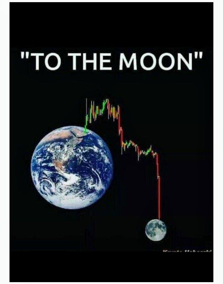 MemeSpot07's tweet photo. #ToTheMoon #pumps #BearDown #btc #Bitget #trading #TradingView #Cryptomemes #Memes #memecoin #BitcoinETF https://t.co/ZQUVYdgNP6