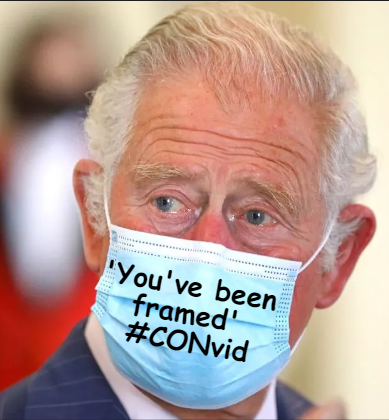 NinaBrooke8's tweet image. #Convid #Scamdemic #Plandemic