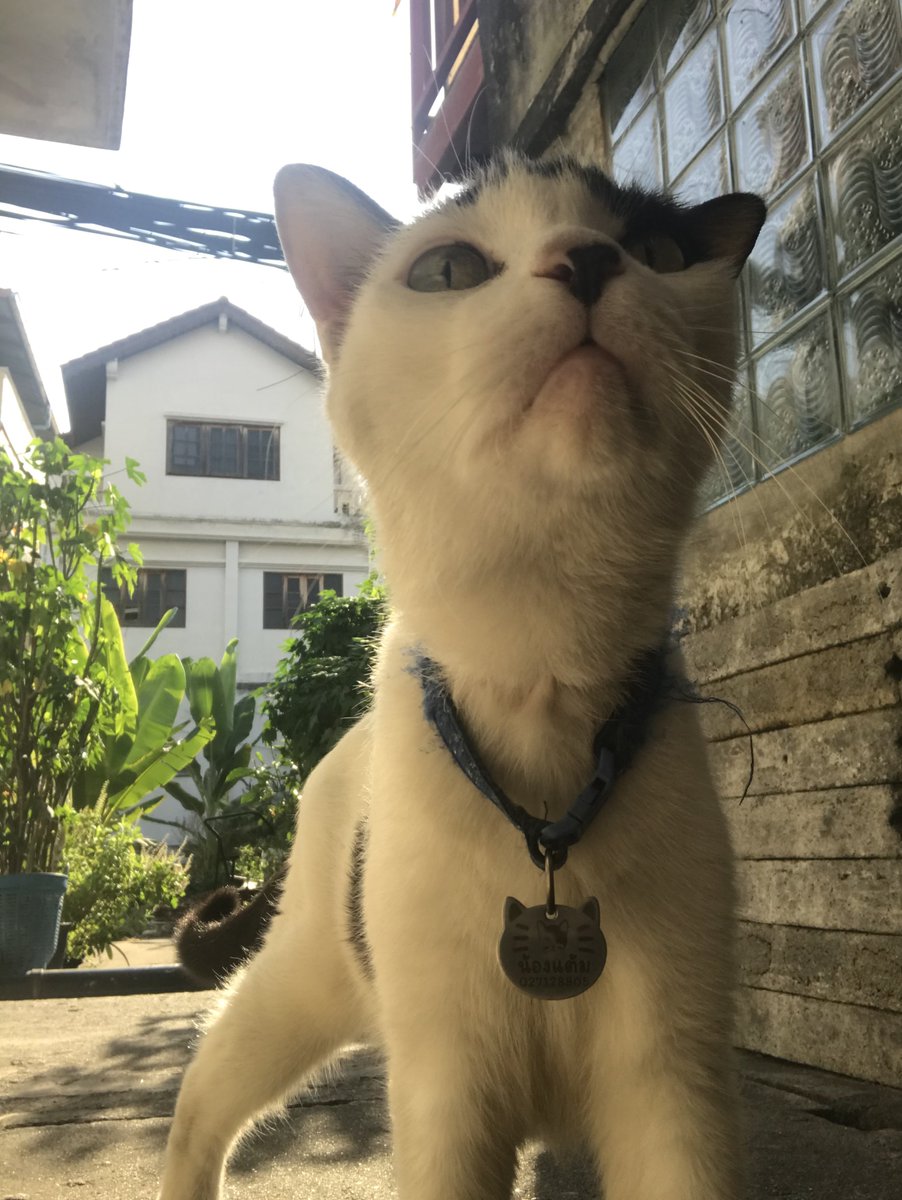 渐入 (@vanlounge7788) on Twitter photo 