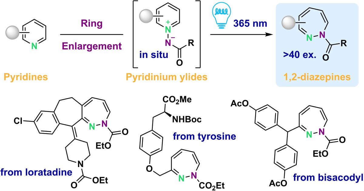 Previously on ChemRxiv, the final version of our photochemical protocol to convert pyridines into 1,2-diazepines in now out in @J_A_C_S! @ILV_UMR8180 @XMoreau_ILV Our work is dedicated to the memory of Prof. Jacques Streith. pubs.acs.org/doi/10.1021/ja…