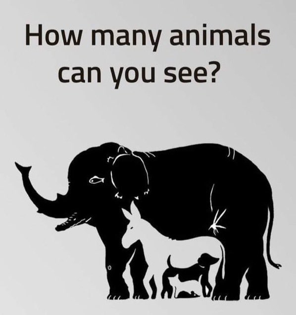 Alice Vachet tweet media