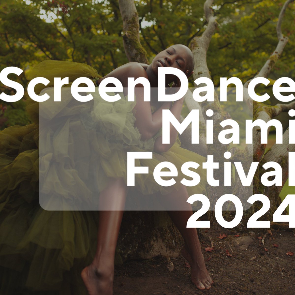 Incredibly proud to have The Noise My Leaves Make 🍃screening in 2 of ScreenDance Miami 2024 programmes, including their Once is Not Enough selection which opens tonight. This work has more than exceeded my expectations and I am so grateful.