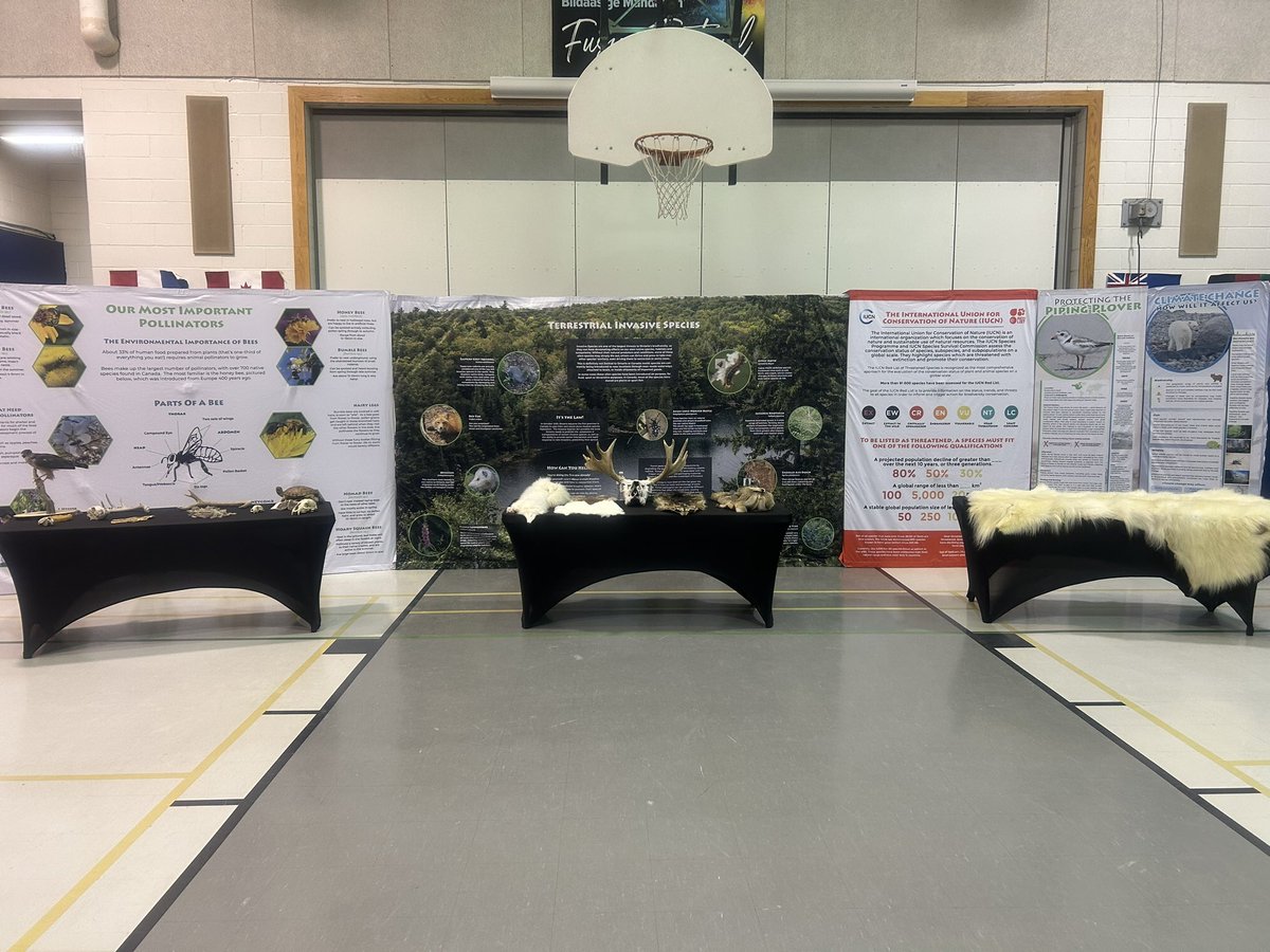 Biidaasigemanps's tweet photo. So happy to have Trinity from Heroes for Wildlife come to teach our students how they can work together to be good  environmental stewards. #WeAreBiidaasigeMandaminPS @DDSBSchools https://t.co/kFzyTr46Fd
