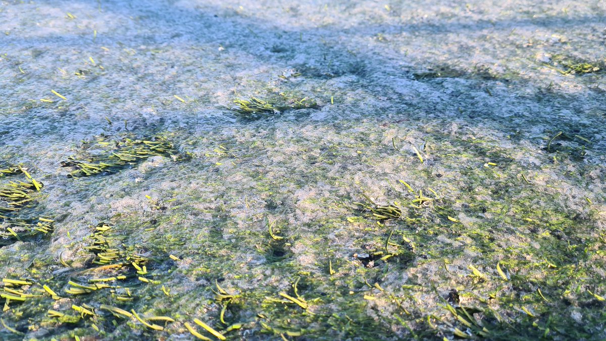 Unfortunately Ribble Valley 3G is closed this evening (18/1/24). The site still has significant areas under ice and snow and isn't safe to play on, or access. Apologies.