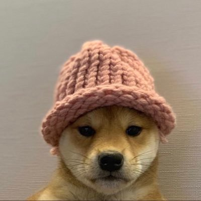 the goodest boy really put the hat on all of wef3. @dogwifcoin