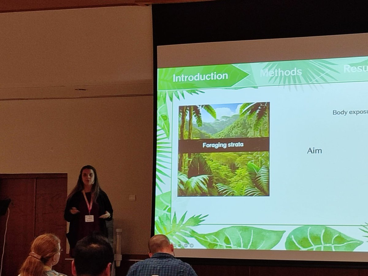 LuciaJG95's tweet photo. I hace just presentes one of the chapters of my PhD during the #SESBE2024 in Málaga. If you want to know more about avian blood paraites in French Guiana, contact me! https://t.co/6NTpZt4EaC